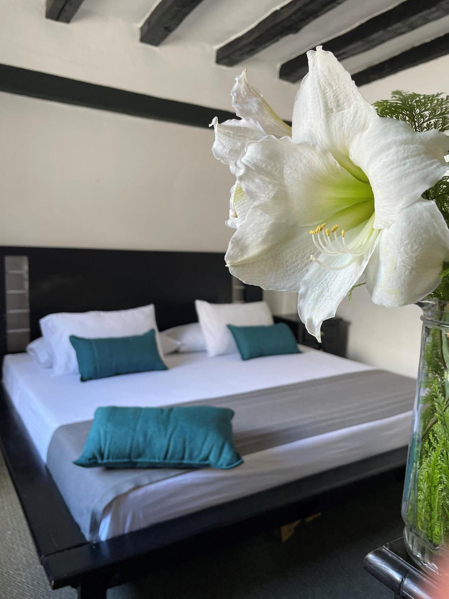 Hotel Premium Real Medellín Exteriör bild